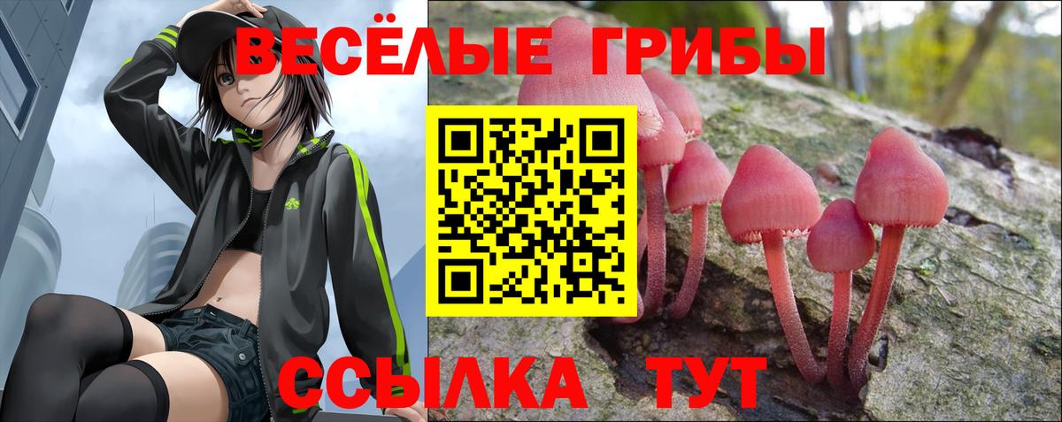 Псилоцибиновые грибы GOLDEN TEACHER Сарапул
